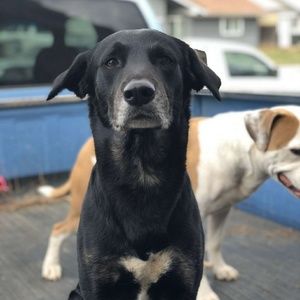 Meet your Posher, Connor